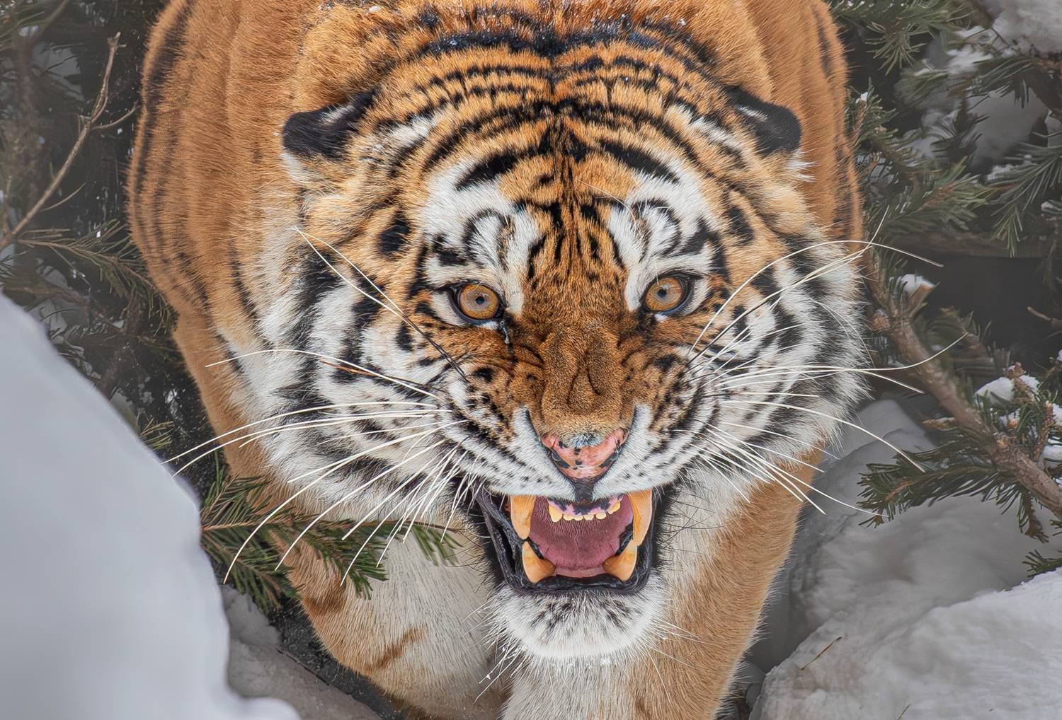 , Михаил Измайлов