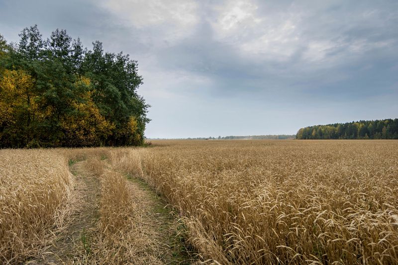 дорога фото превью