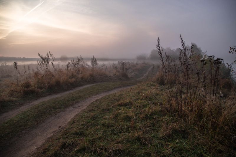 Владимир, город Владимир, природа Владимира, Владимирская область, туман Дорога вдаль фото превью