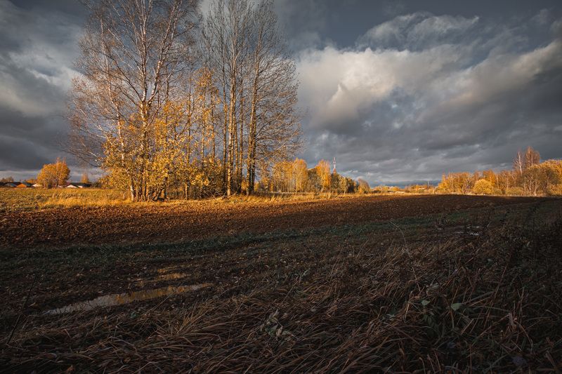 Смоленская обл. д. Торбеево На закате осени...  фото превью