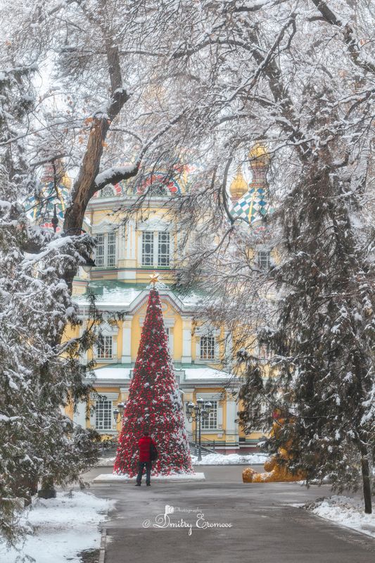 зимнийпарк, елка, храм Тихий парк в снежный день, подобен тайному саду, наполняющему душу... фото превью