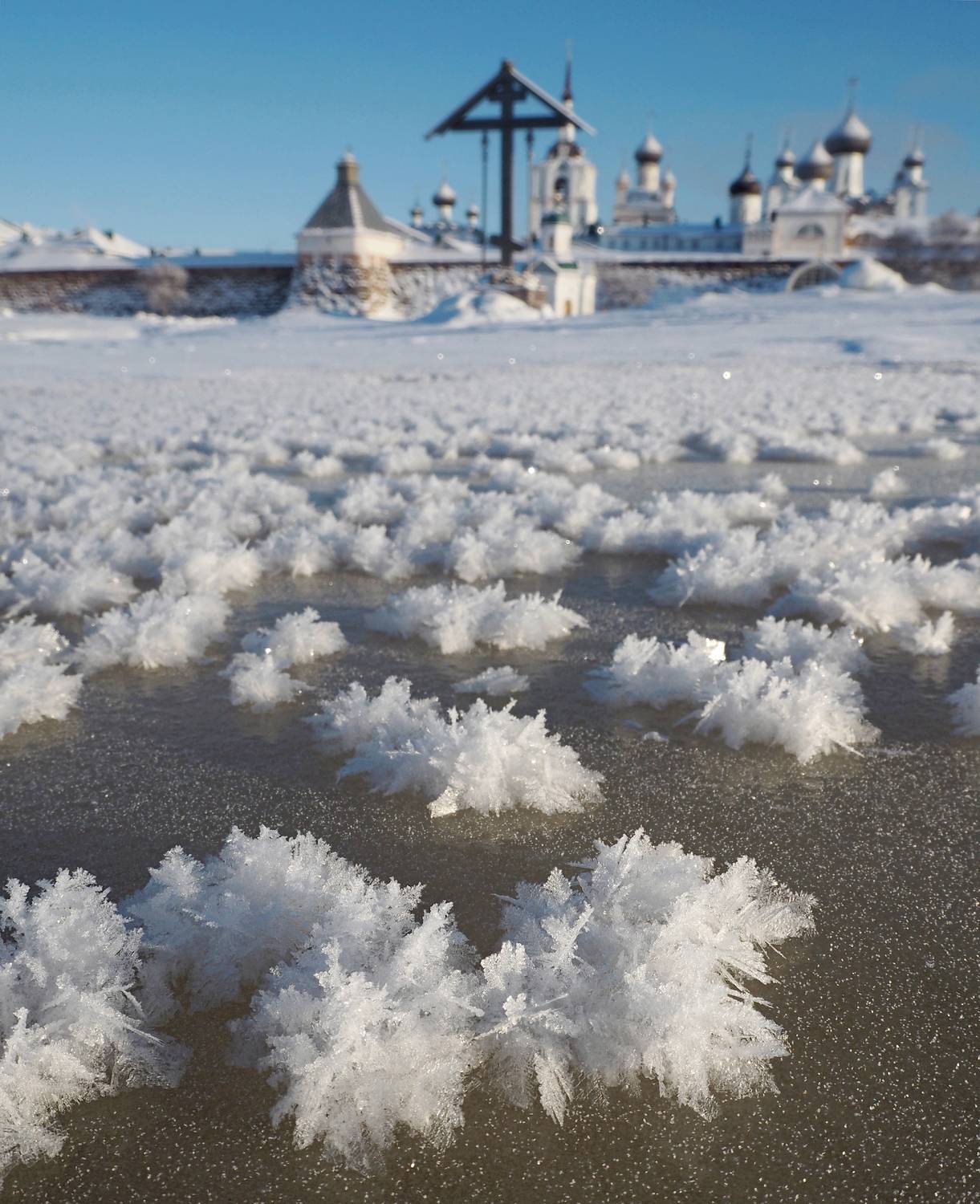 , Яковлев Евгений
