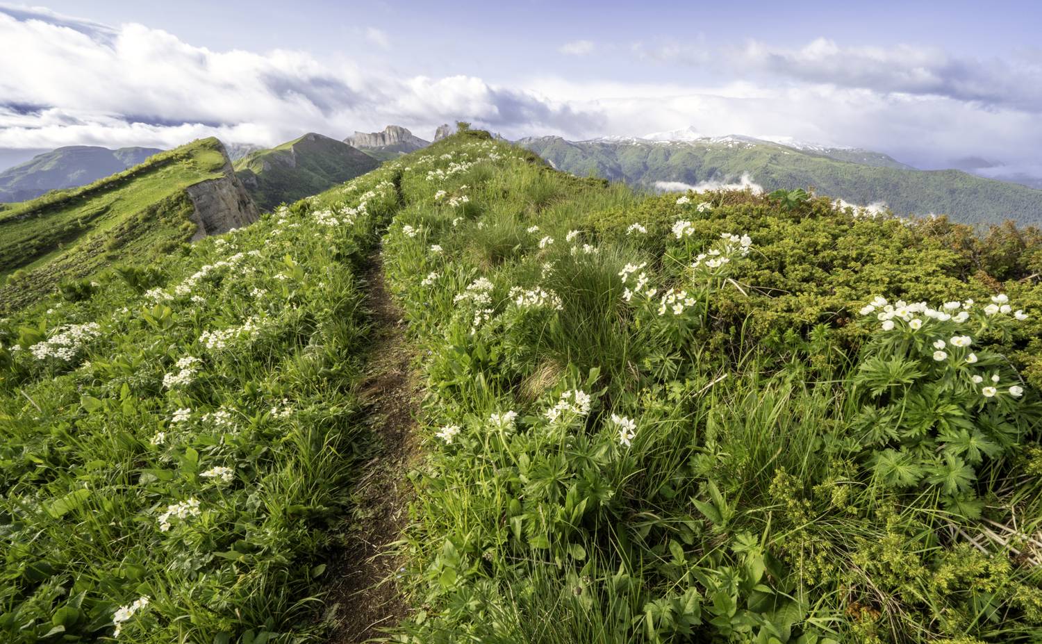 Россия, республика Адыгея, Большой Тхач, Гаврилов Юрий