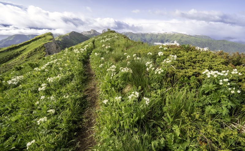 Россия, республика Адыгея, Большой Тхач Природный парк Большой Тхач фото превью