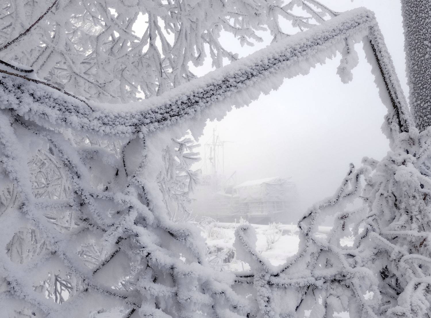 зима, сибирь, корабли, иней, забор, енисей, Марина Фомина