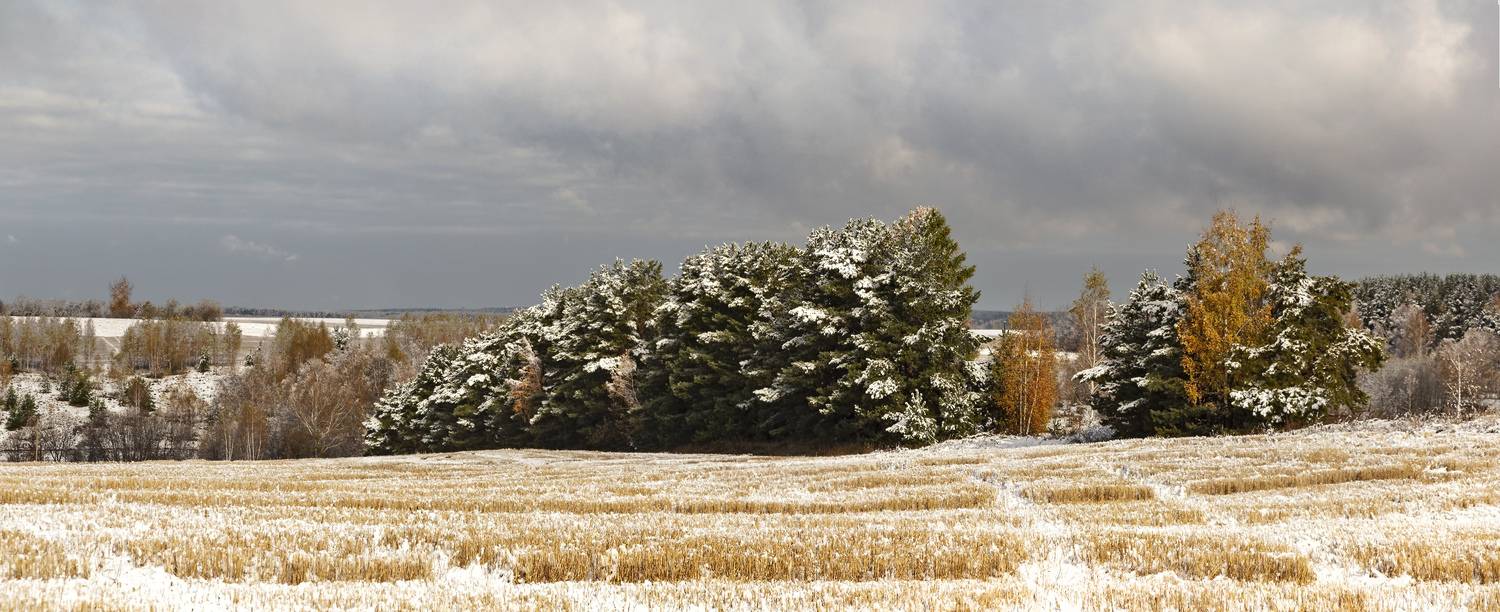 , Алексей Хахлов
