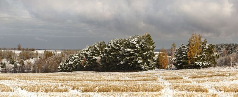 фото превью