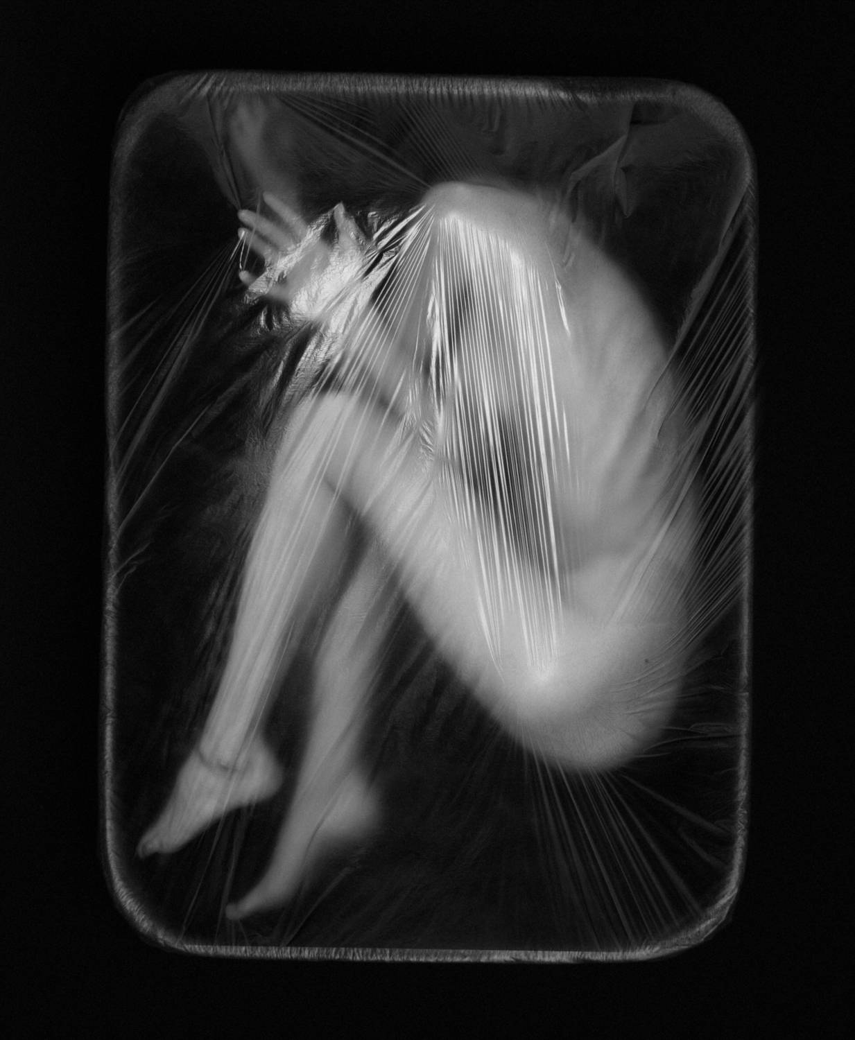 , Алексей Пучковский