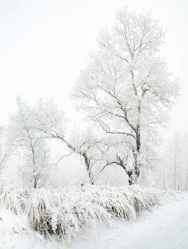 Зефиром рисуя