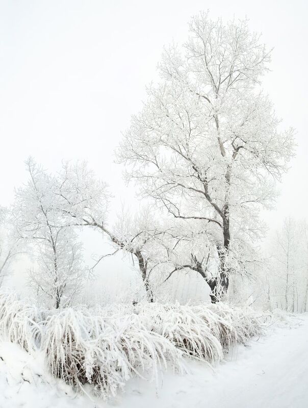 Зефиром рисуя фото превью