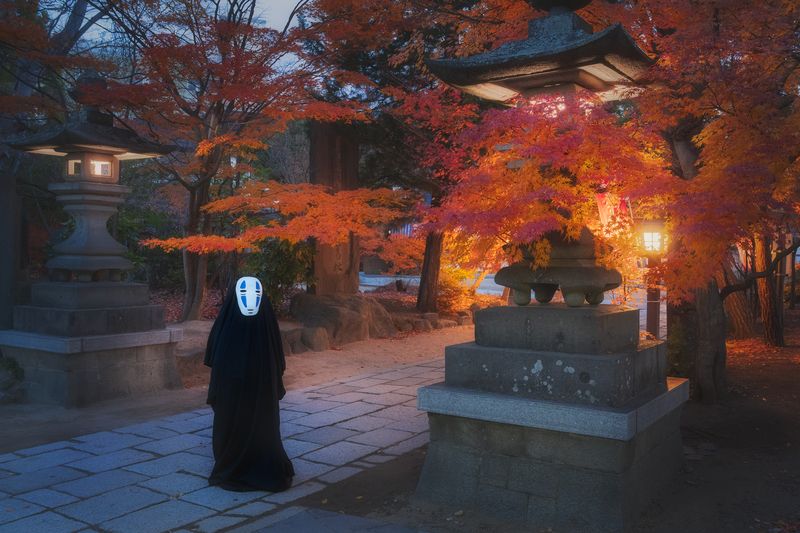 Каонаси. Путешествие призрака по Японии фото превью