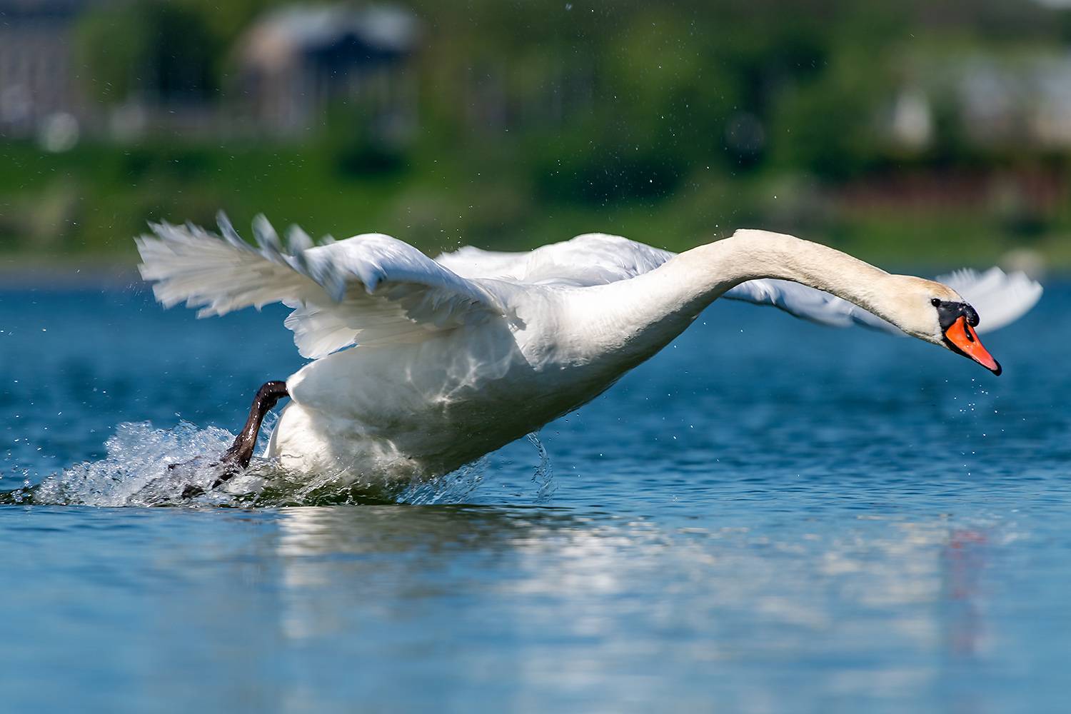 , Абросимов Александр