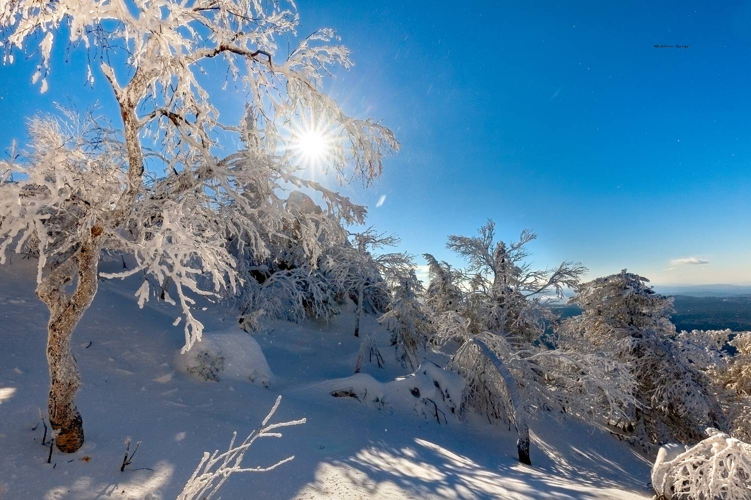 , Евдокимов Сергей