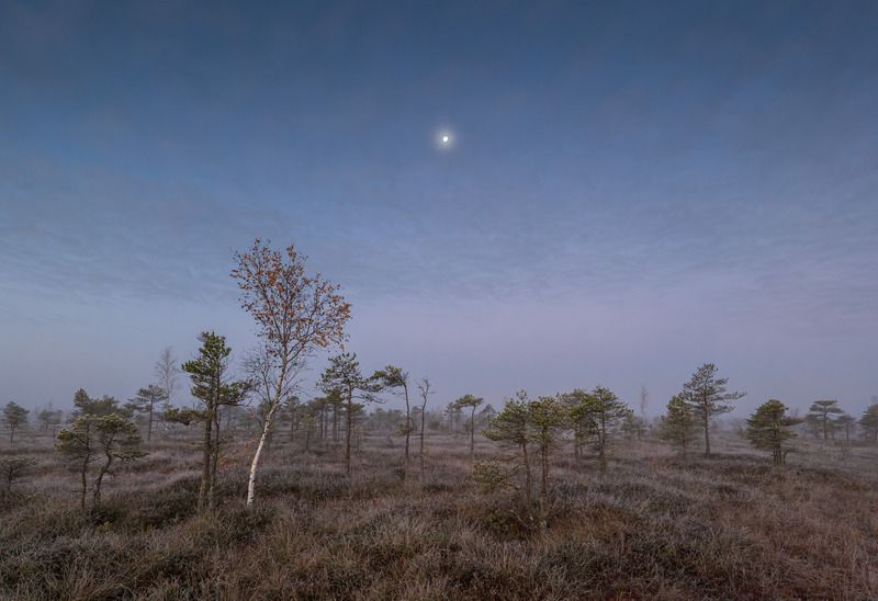 Скоро рассвет фото превью