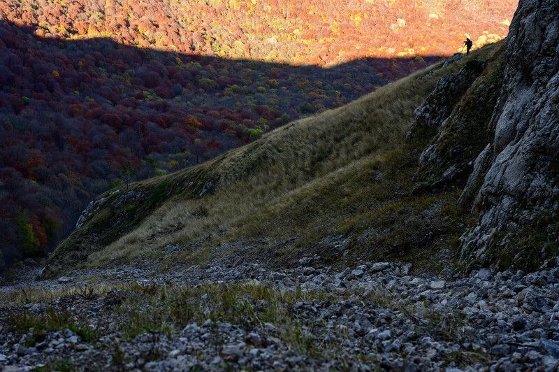 Искатель цвета фото превью