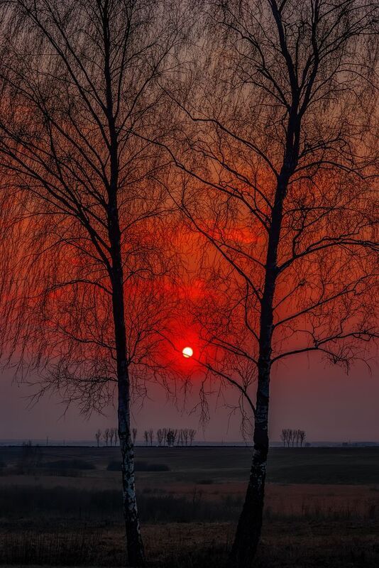 пейзаж, весна, вечер Графика уходящего дня фото превью