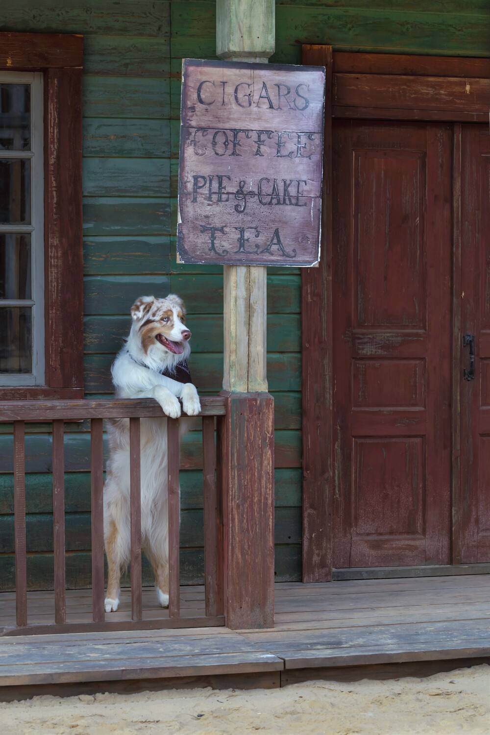 Летний день, ранчо, вестерн, пёс, Герцен Наталья