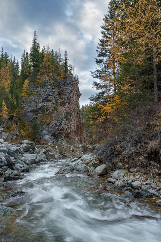 алтай, республика алтай, природа, река чибитка, осень, золотая осень Река Чибитка фото превью