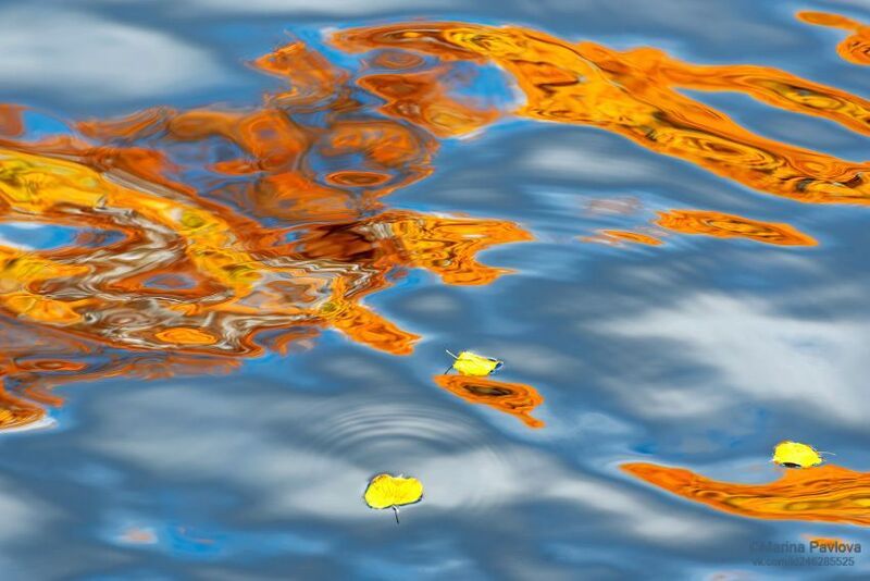 абстракция, акваабстракция, акваграфика, отражения на воде, осенние отражения, красивая вода Акварели осеннего Петербурга фото превью