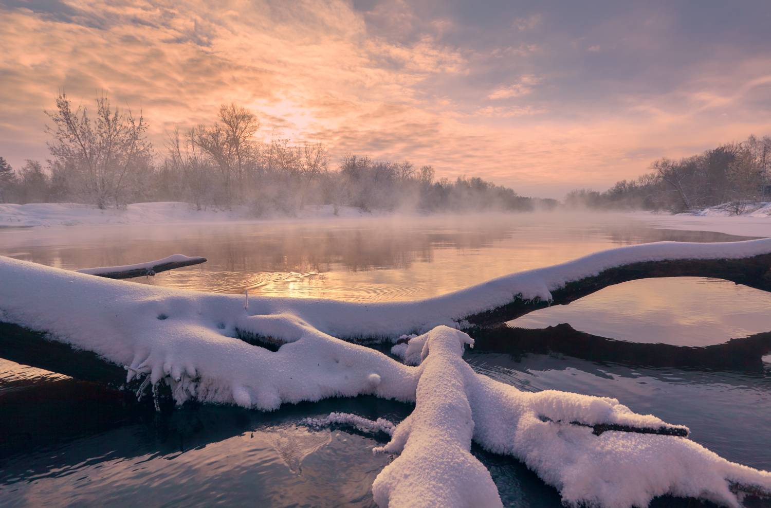 , Роман Лушпа