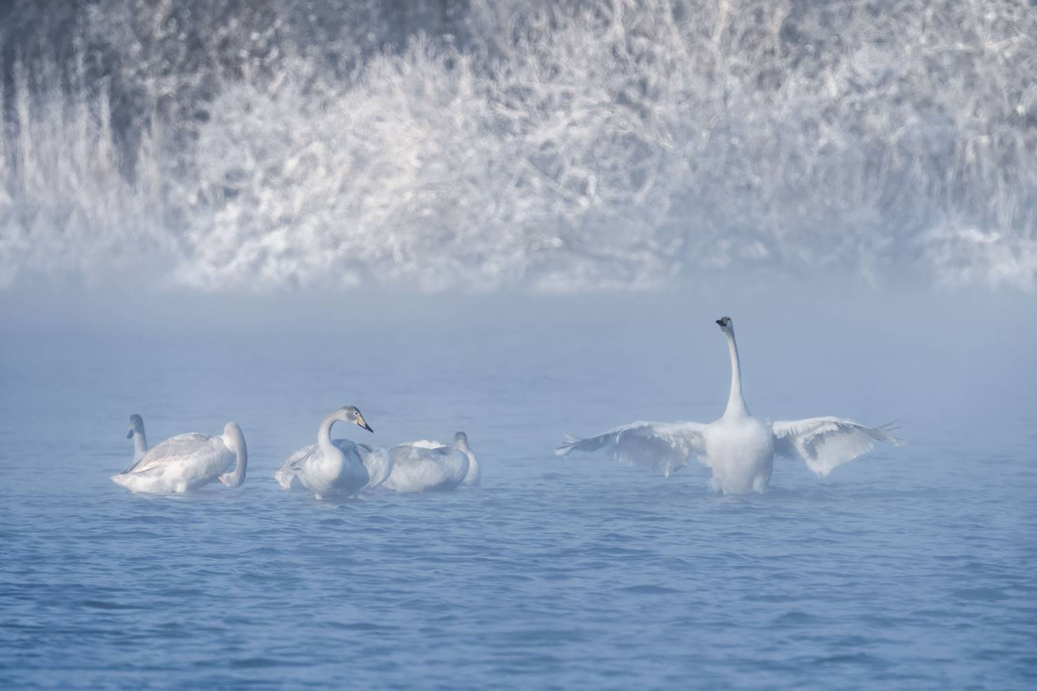 , Важенин Евгений