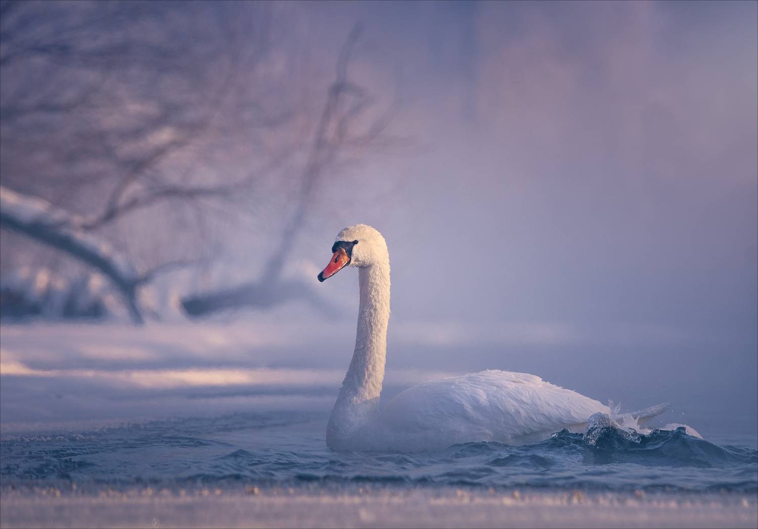 , Богорянов Алексей