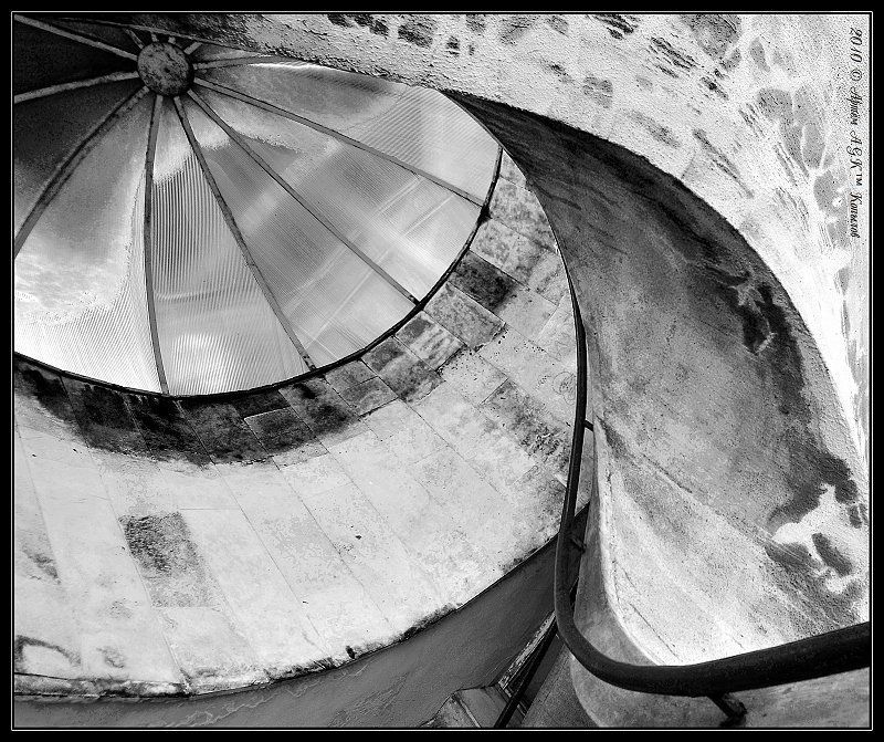 выборг, камень, фрукт, солнце Апельсин фото превью