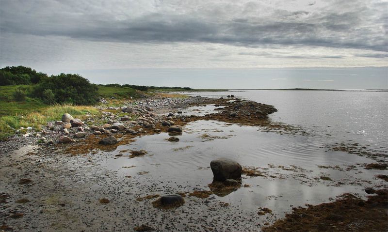 прилив, белое море, большой заяцкий остров, соловки Беломорский прилив фото превью