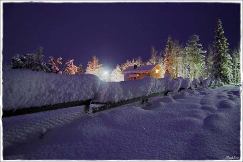 Вечерними тропками фото превью