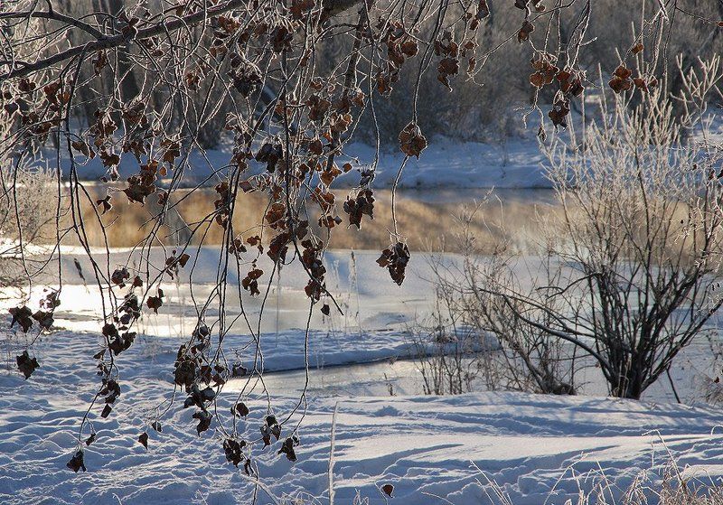 иней,мороз,зима Зимние наряды фото превью