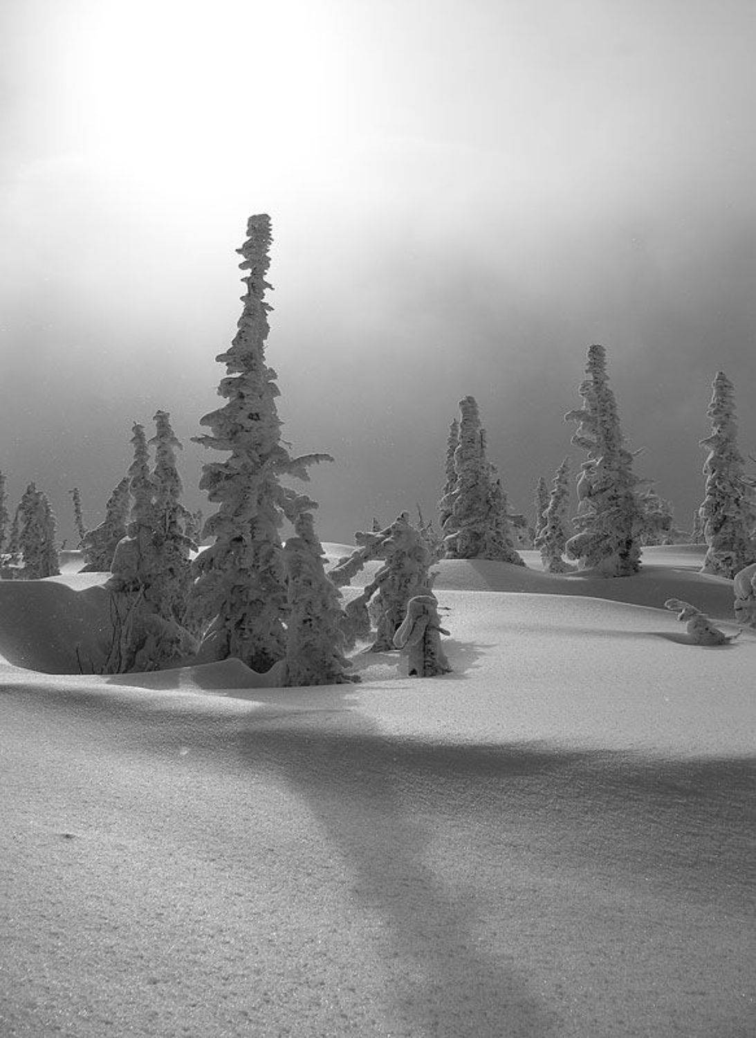 зима, горы, allegria