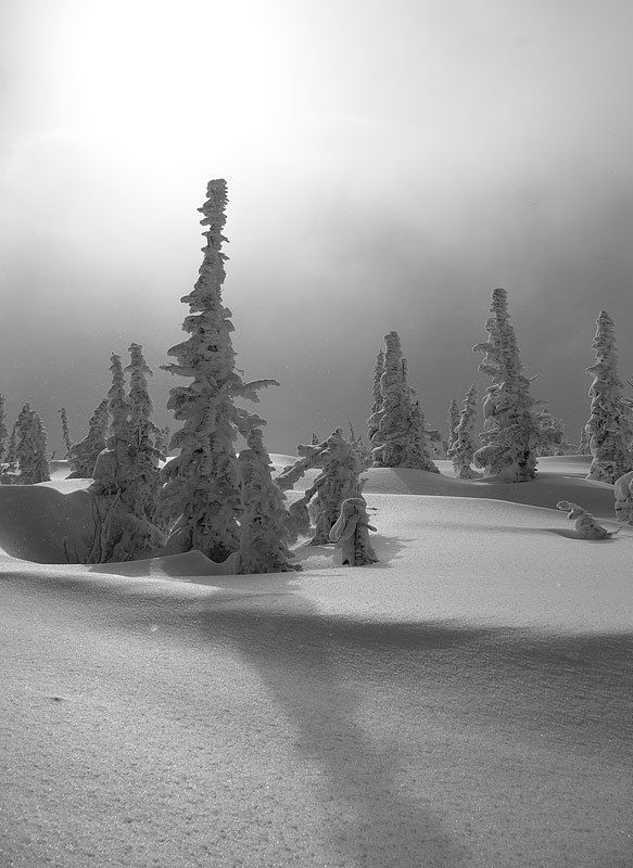 зима, горы в снегах фото превью