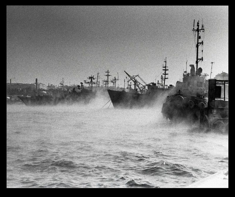 плёнка , юпитер 8 , В порту фото превью