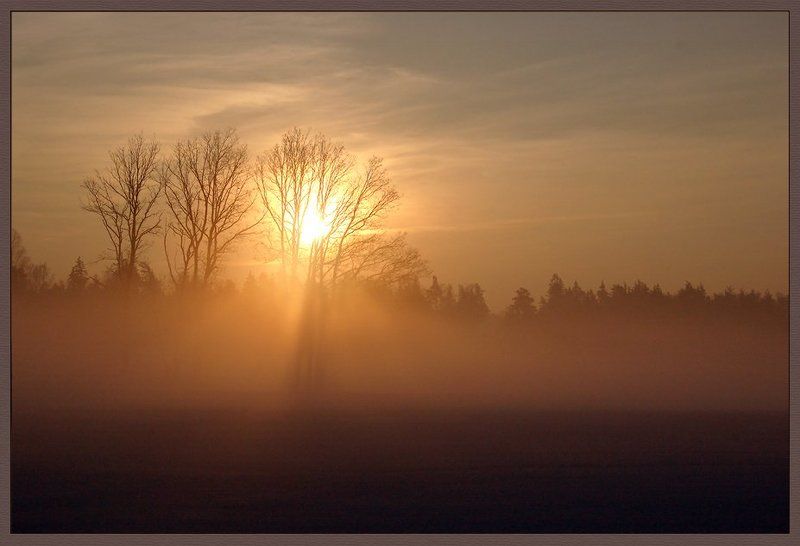 зимний рассвет.. фото превью