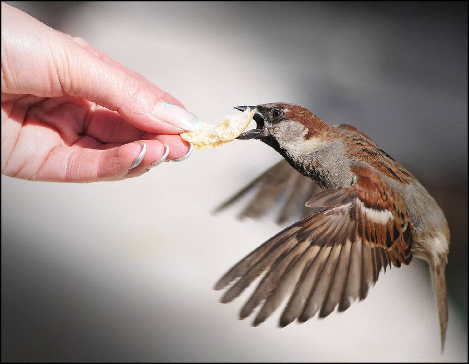 , Долматов Евгений