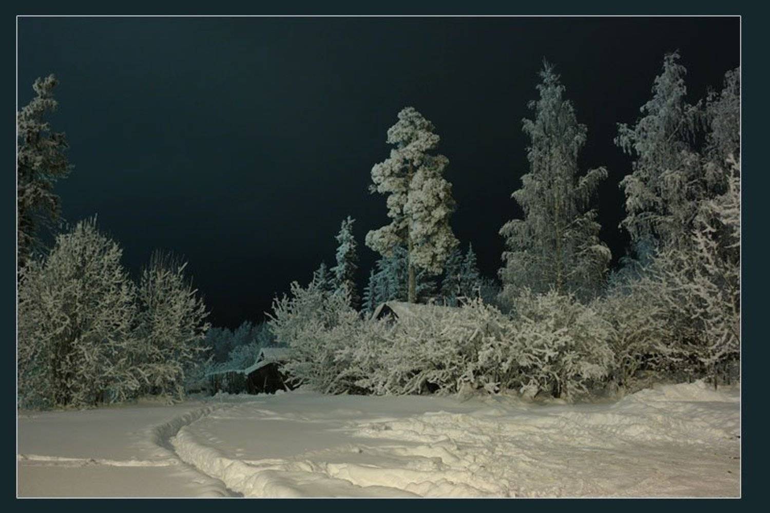 , Александр Трофимов