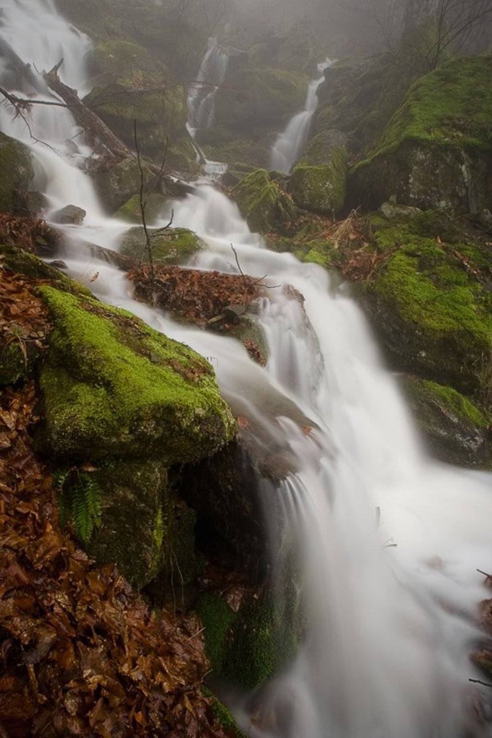 , Синицкий Виталий