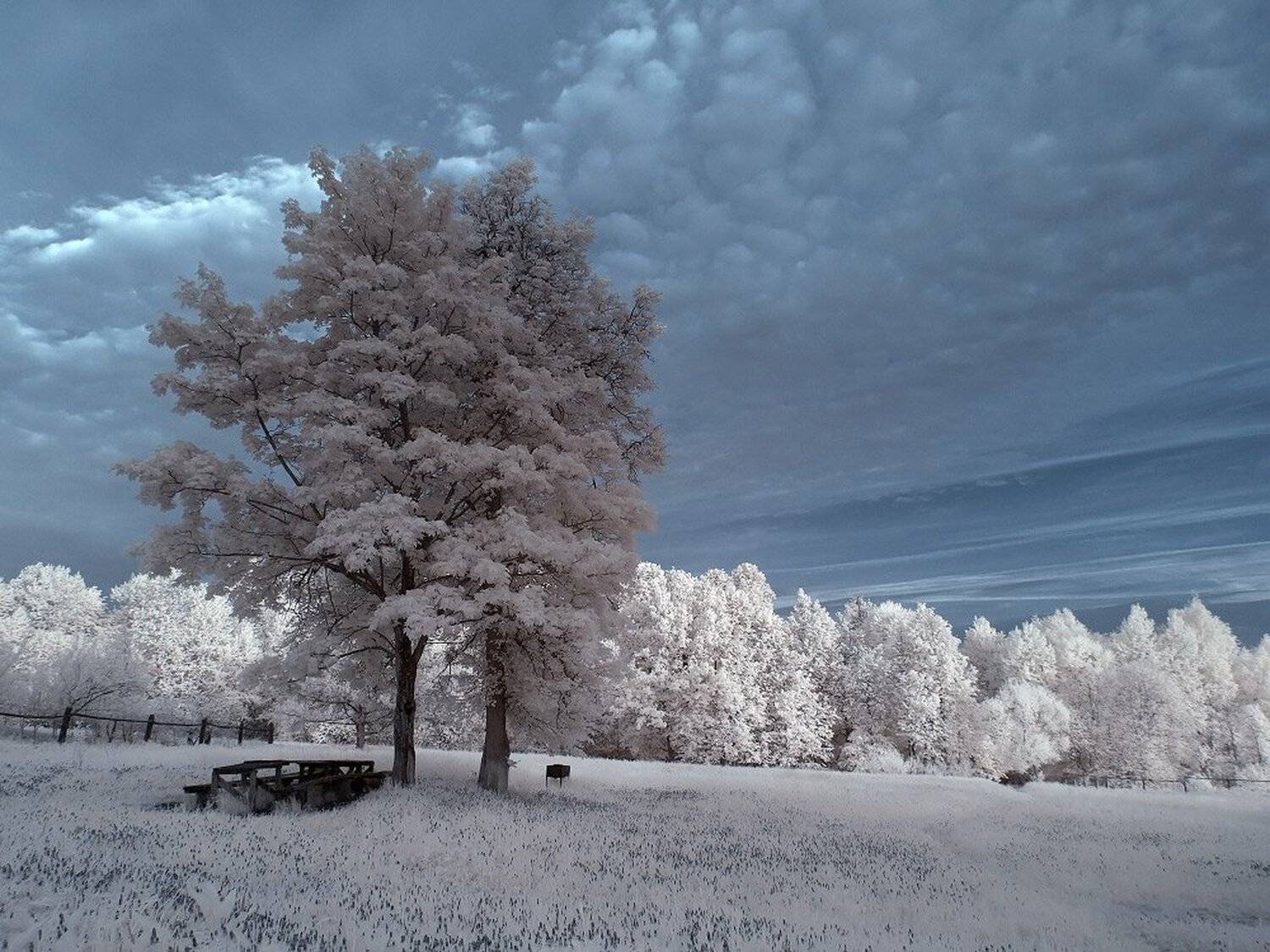 , Максим Евдокимов