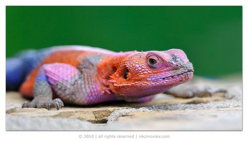 В стиле диско