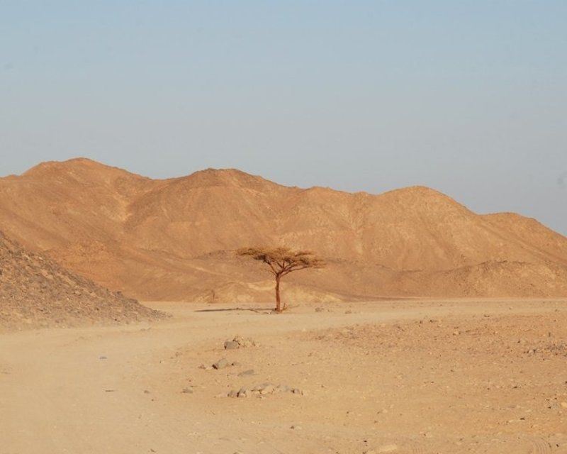 одиночество фото превью