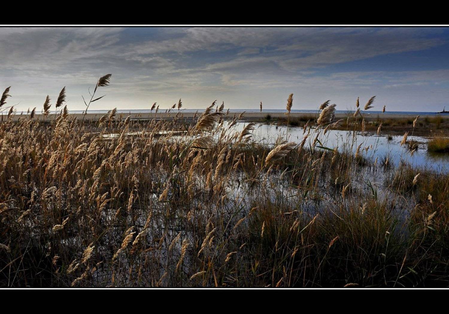 , Vladimir Otrubukhov