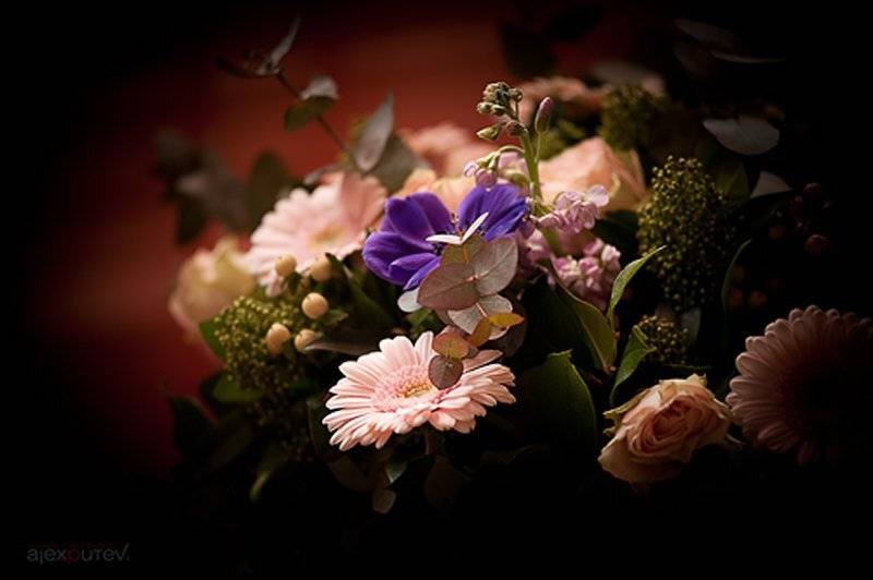 праздник,весна,цветы, Александр Путев