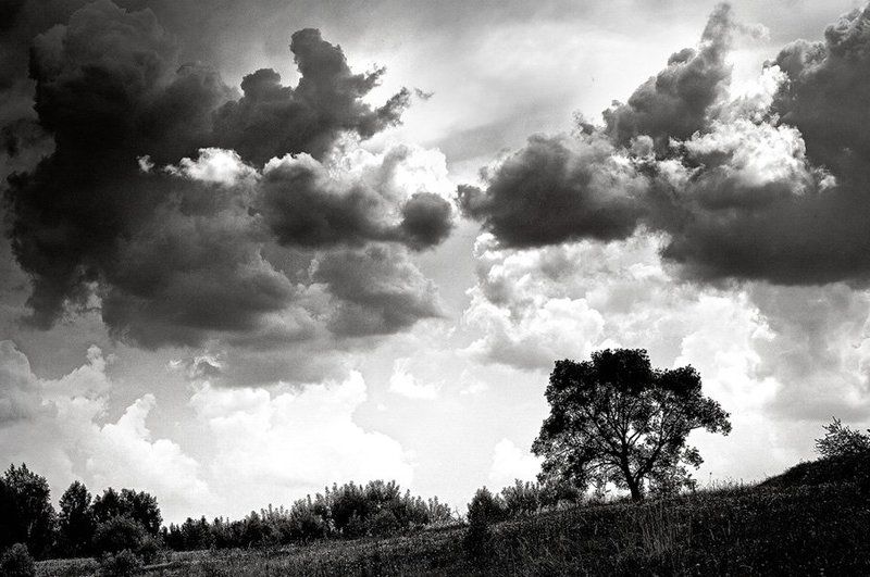 противостояние фото превью