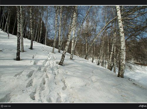 Зима в горах Алатау.