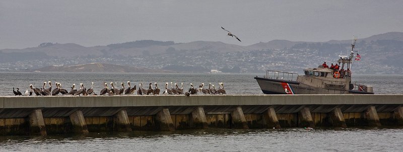 Coast Guard фото превью