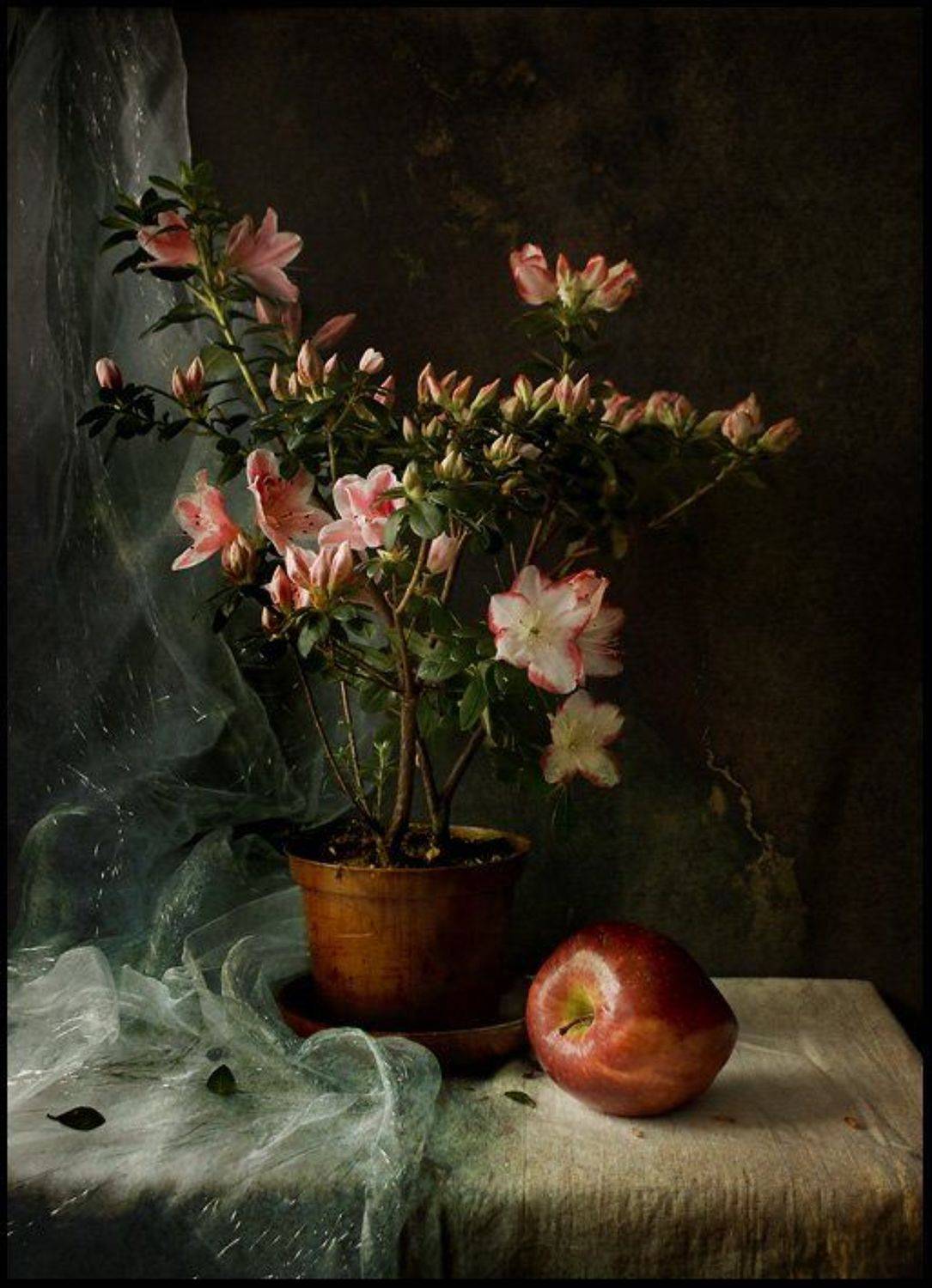 , Максим Задвинский