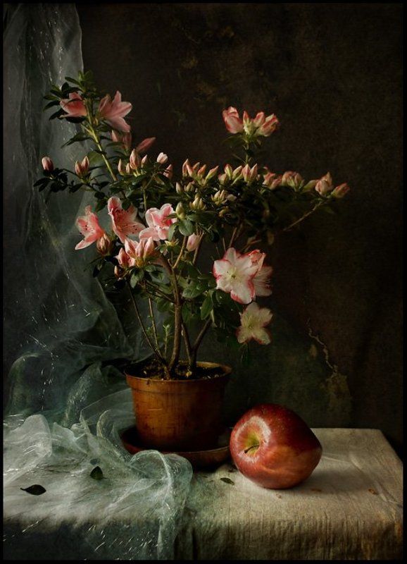 Азалия и Я... фото превью