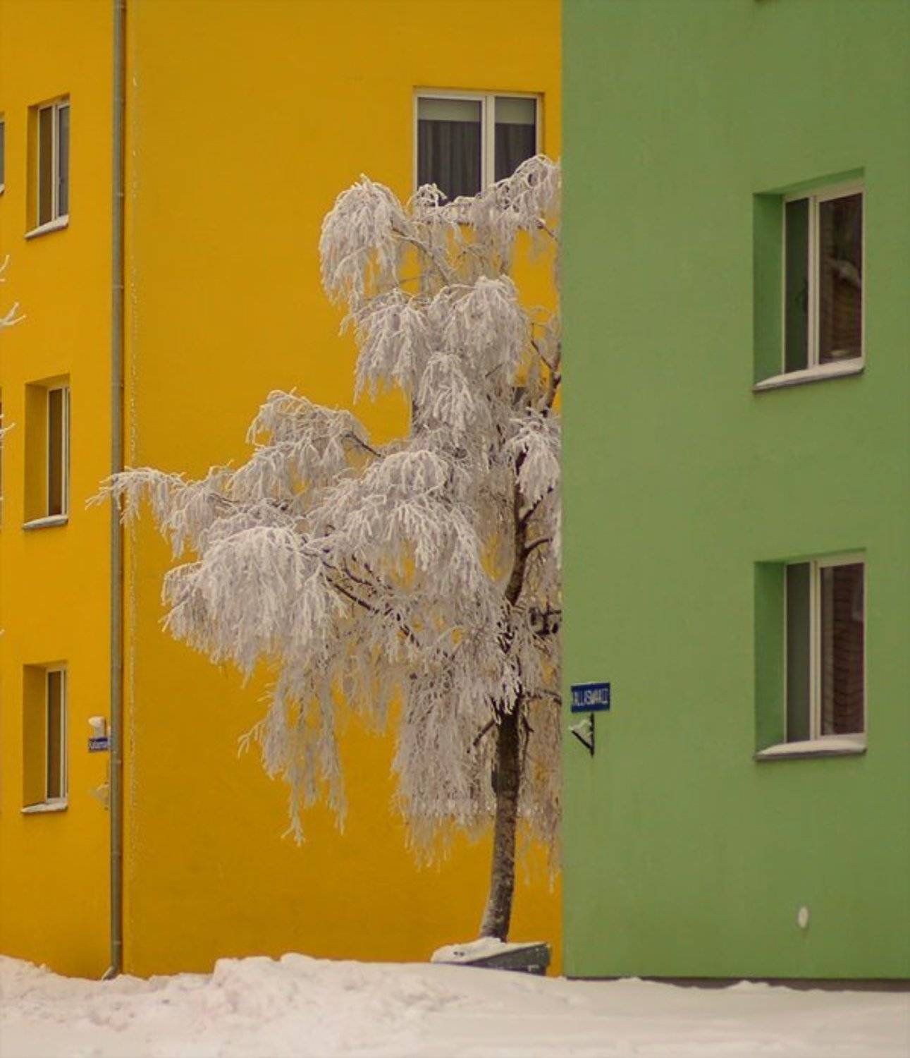 , Лариса Лучко