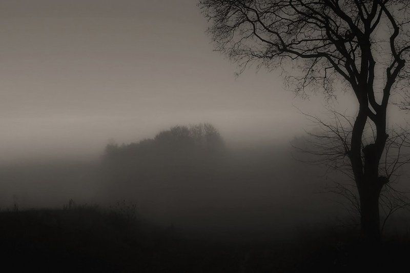 природа,туман Туман вокруг всё поглотил... фото превью