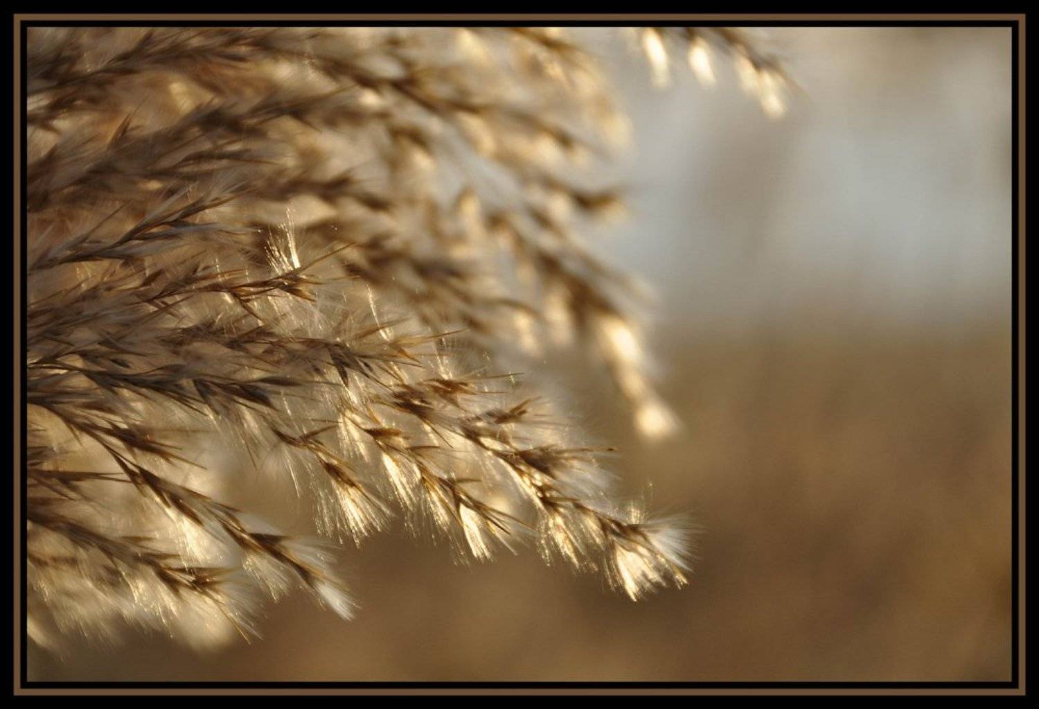 , Vladimir Otrubukhov